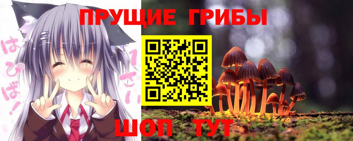 Галлюциногенные грибы Psilocybine cubensis Канаш